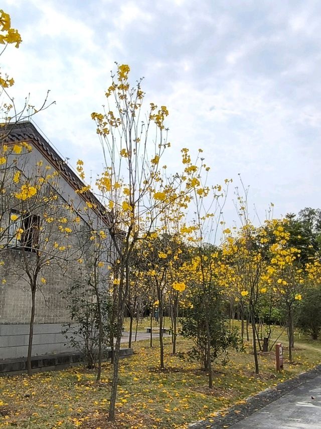 惠州除了西湖外,還是一個紅花湖也很美