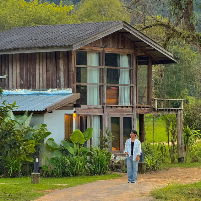 นอนโฮมสเตย์สุดชิล กลางหุบเขา เชียงใหม่ 🏠🌳
