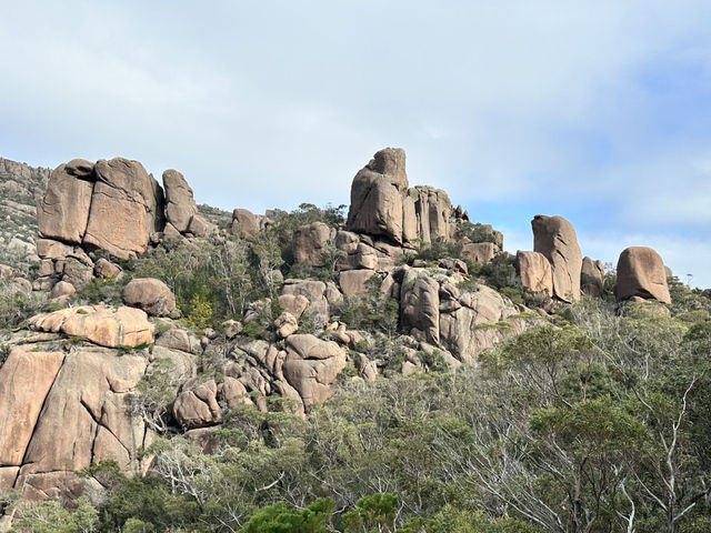 Trip to Tasmania 