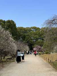 廣島｜泉水屋敷到縮景園 經過原爆悲劇後重現400年前庭園