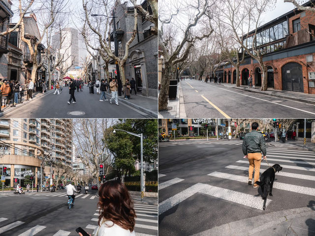Shanghai - Hangzhou 🇨🇳