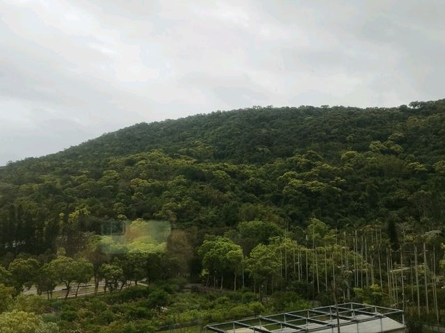 城市渡假之旅：台北士林萬麗酒店