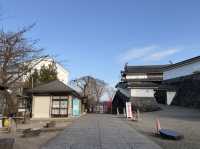 🏯白石城一日遊攻略｜小而美的日本古城，靜靜地說著歷史的故事🌿