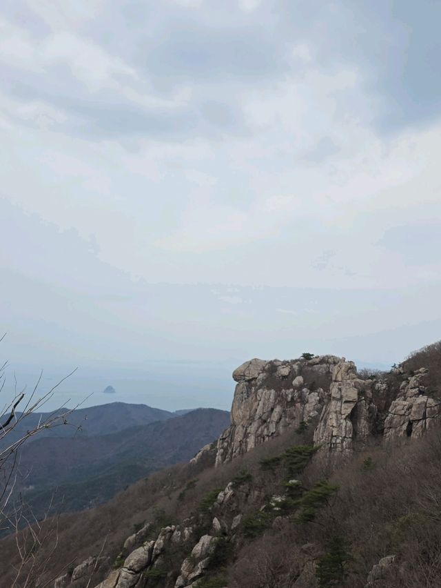 ✨️인스타 필수 인증사진 찍는 곳✨️