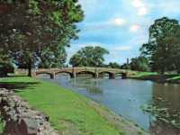Abbey Park: A hiidden natural gem in Leicester!