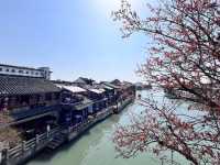 上海朱家角古鎮旅遊攻略