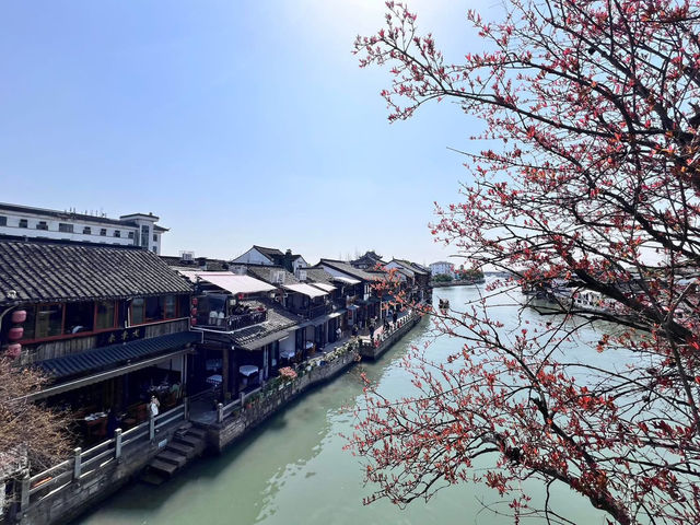上海朱家角古鎮旅遊攻略