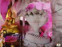 วัดป่าพระพุทธบาทภูดิน