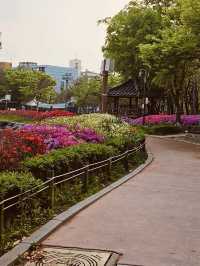 Cheonho-dong Park: Your Local Green Heart for Spring Exploration