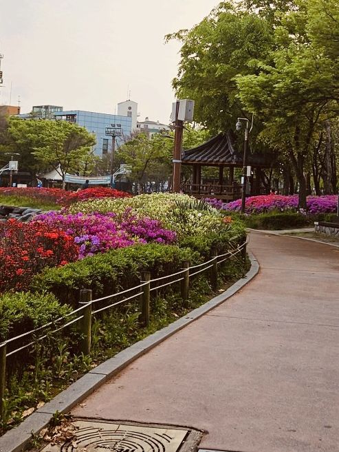 Cheonho-dong Park: Your Local Green Heart for Spring Exploration