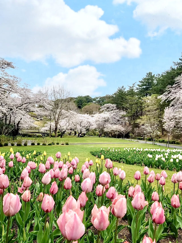 Spring Getaway: Hamamatsu Flower Park
