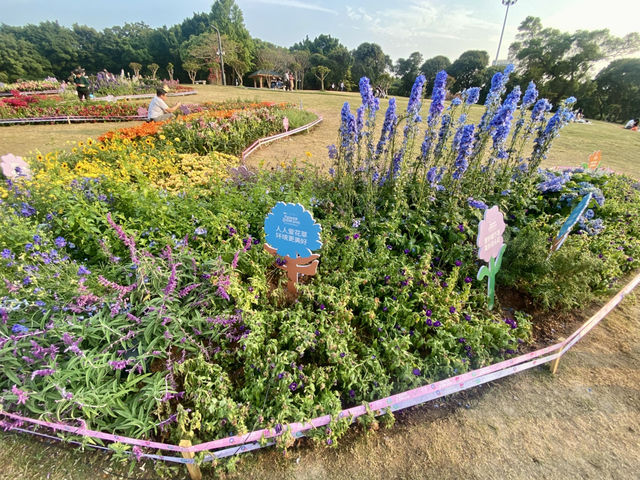 ✨探索城市中的美麗繽紛世界✨中山公園 