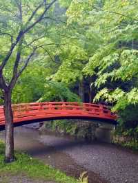 Vibrant Azaleas at Oguni Shrine