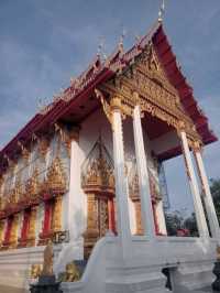 ท่องเที่ยวเชิงวัฒนธรรม ชมวัดทองศาลางาม✨️