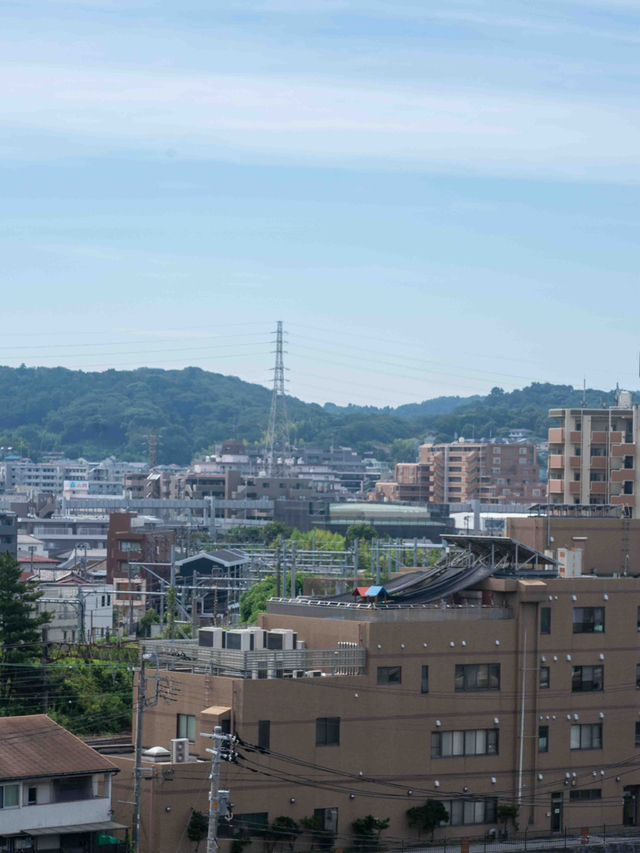 街の高台にたたずむ、大船観音寺の白い観音様🙏