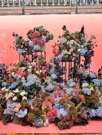 Melbourne international flower show