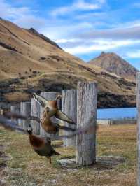 Moke Lake Magic – Queenstown’s Best-Kept Scenic Secret