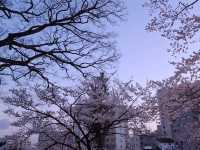 仙台榴岡公園