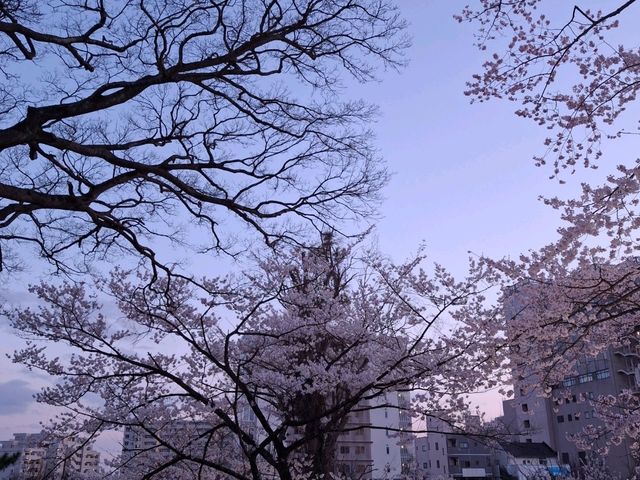 仙台榴岡公園