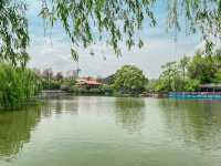 สวนสาธารณะ คุนหมิง cuihu park 🇨🇳