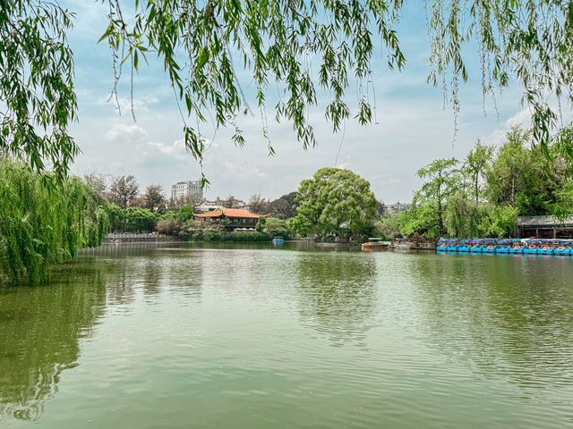 สวนสาธารณะ คุนหมิง cuihu park 🇨🇳