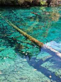 Discover Magical Jiuzhaigou:Four-Season Wonderland