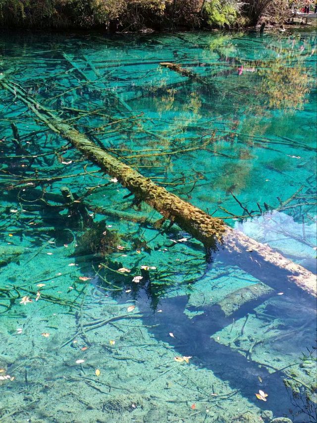 Discover Magical Jiuzhaigou:Four-Season Wonderland