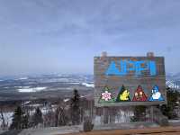 Snowboarding and skiing 