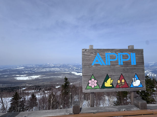 Snowboarding and skiing 