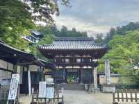 【奈良県】 日本最初の厄除け霊場　in岡寺