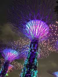 An Iconic Landmark💥SUPERTREE💥Grove @Singapore
