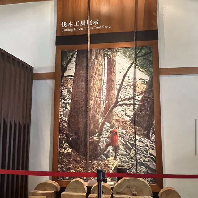 阿里山博物館區 Alishan Museum Area