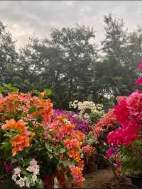 Lianshan Flower Park Where Urban Life Blooms with Nature