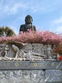 서부해당화와 철쭉이 환상적인 남미륵사🩷
