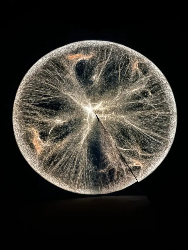 釜山影島のインタラクティブ美術館