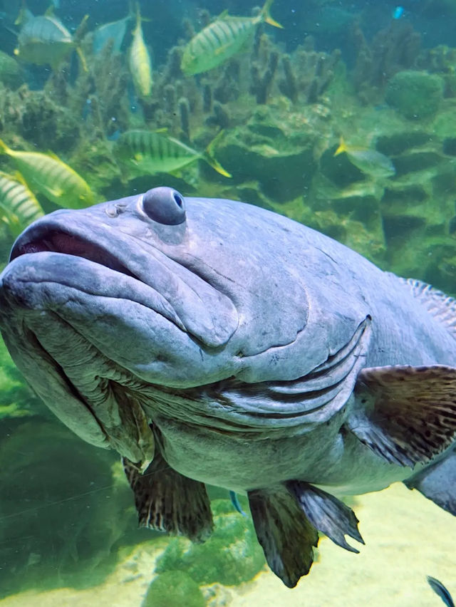 Aquaria KLCC