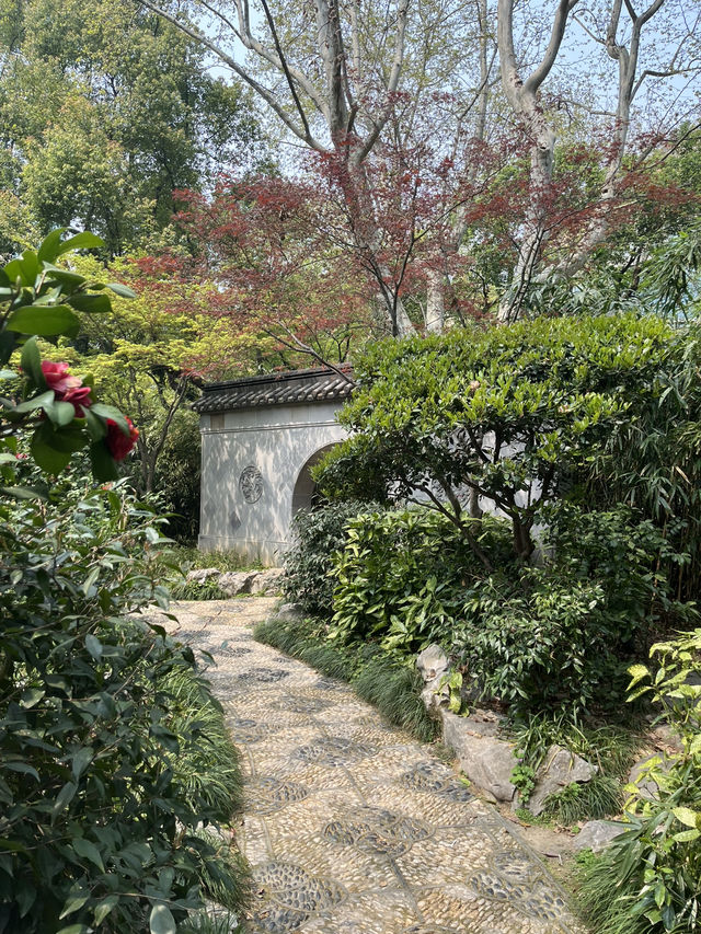 Shanghai | The hidden garden in the centre of city 