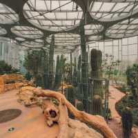 Shanghai Greenhouse Garden