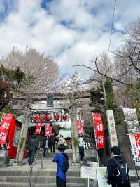 【三崎港】グルメに、お散歩に、三崎の街をたのしもう！