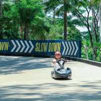 คาเฟ่ภูเก็ตในพงไพร กิจกรรมแน่น !!!
