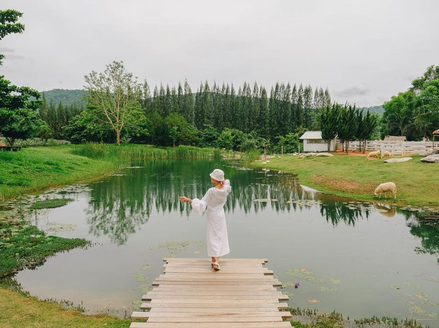 เขาใหญ่ 2 วัน 1 คืน...เที่ยวไหนได้บ้าง🌿