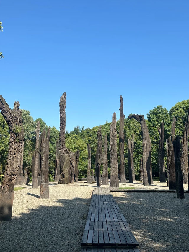 🏺 Jinsha Site Museum: Unveiling Chengdu’s Ancient Shu Civilization