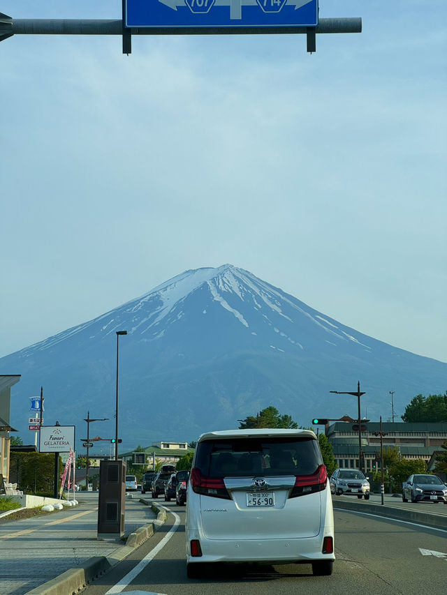 🌄 숨겨진 관광 명소 시즈오카 여행, 일본의 숨은 보석!