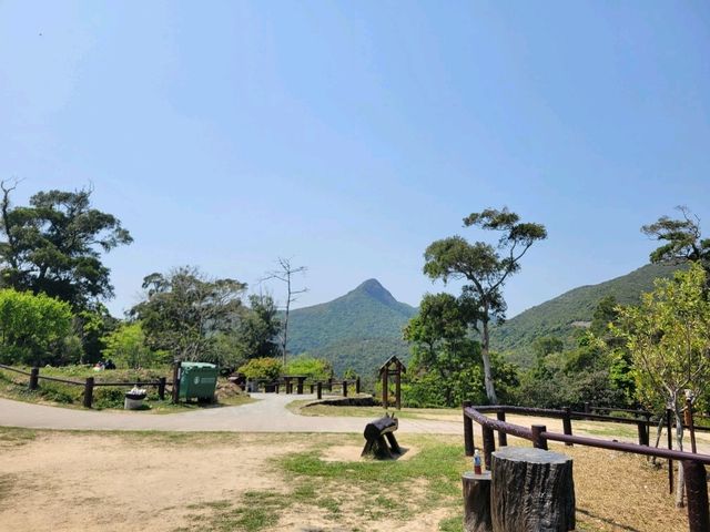 🌿🌊 **香港清水灣郊野公園：自然愛好者的天堂** 🌊🌿