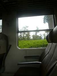 🇱🇰スリランカ📍ヌワラエリアお茶畑列車を体験！