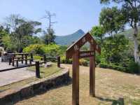 🌿🌊 **香港清水灣郊野公園：自然愛好者的天堂** 🌊🌿