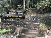 Mount Pulai: Stairway to Heaven (and Legs Screaming 'Why?')🌄😅