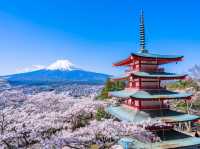 国内旅行攻略｜四季折々の絶景と文化を満喫する旅