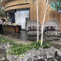 【札幌🇯🇵】朝からオシャレビュッフェ❄Farm to Table TERRA