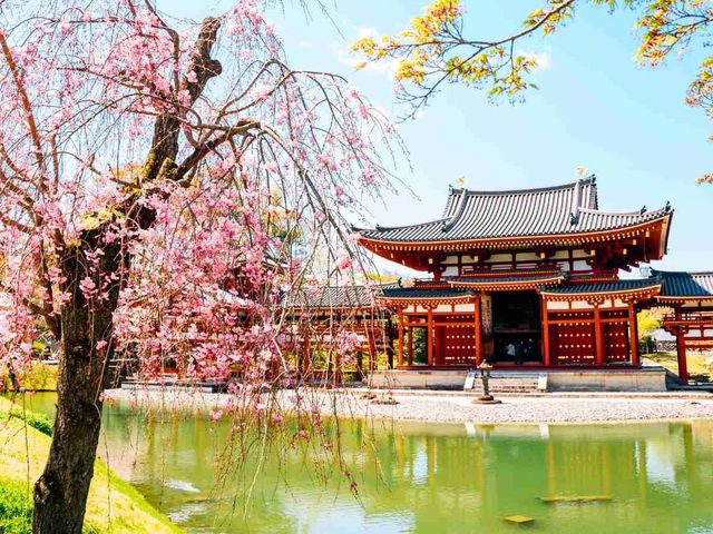 🍵 Uji: Kyoto’s Green Tea Paradise & Timeless Beauty 🍵